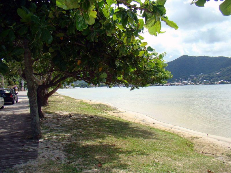 Lagoa da Conceicao 3944648226