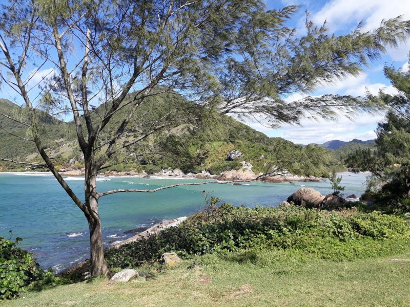 Praia do Matadeiro 20180811 121912